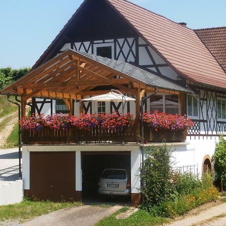 Steinhof Apartman Oberkirch Kültér fotó