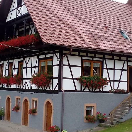 Steinhof Apartman Oberkirch Kültér fotó