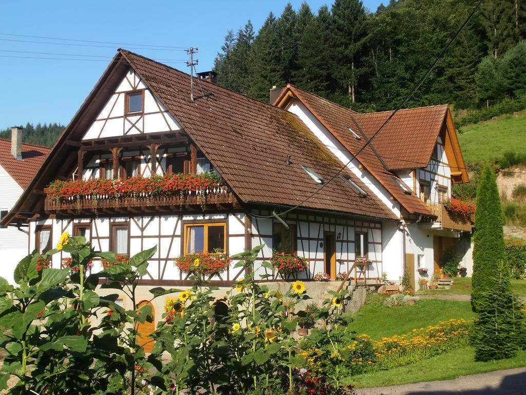 Steinhof Apartman Oberkirch Kültér fotó
