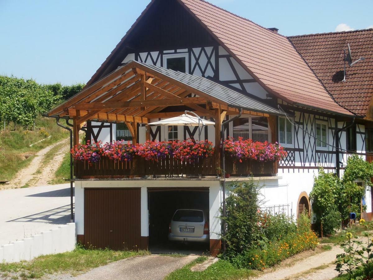 Steinhof Apartman Oberkirch Kültér fotó