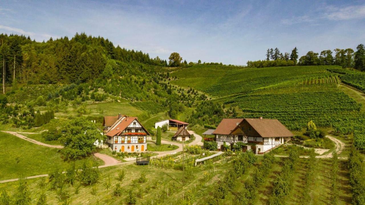 Steinhof Apartman Oberkirch Kültér fotó