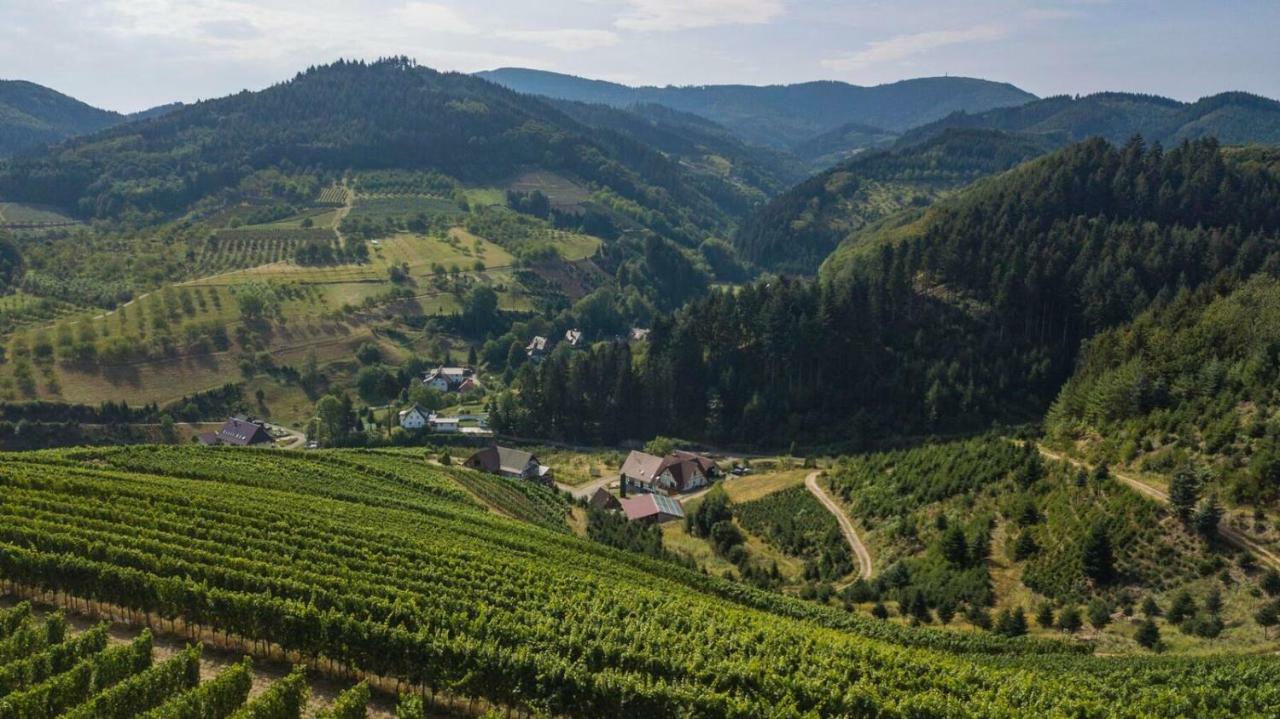 Steinhof Apartman Oberkirch Kültér fotó