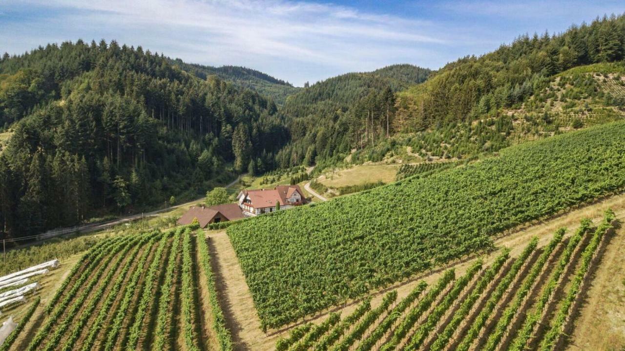 Steinhof Apartman Oberkirch Kültér fotó