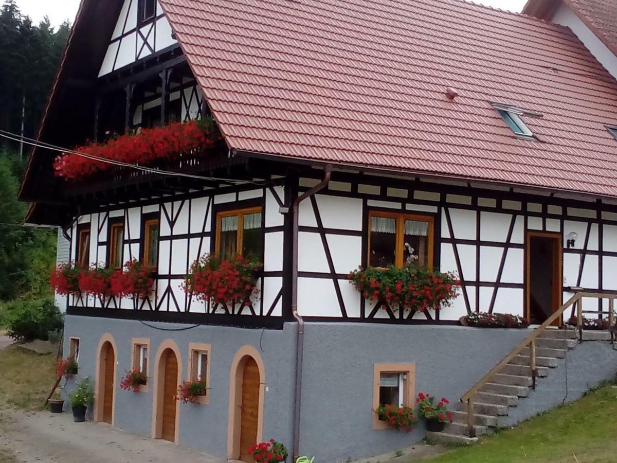 Steinhof Apartman Oberkirch Kültér fotó